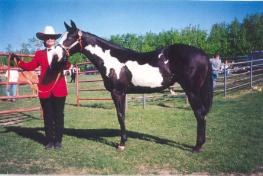 All Red E Exteme at 2 - sold to Texax