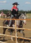 RDK Katonie - grey, part arab, pinto, gelding, jumping, for sale